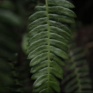 Meet your Posher, Michaela